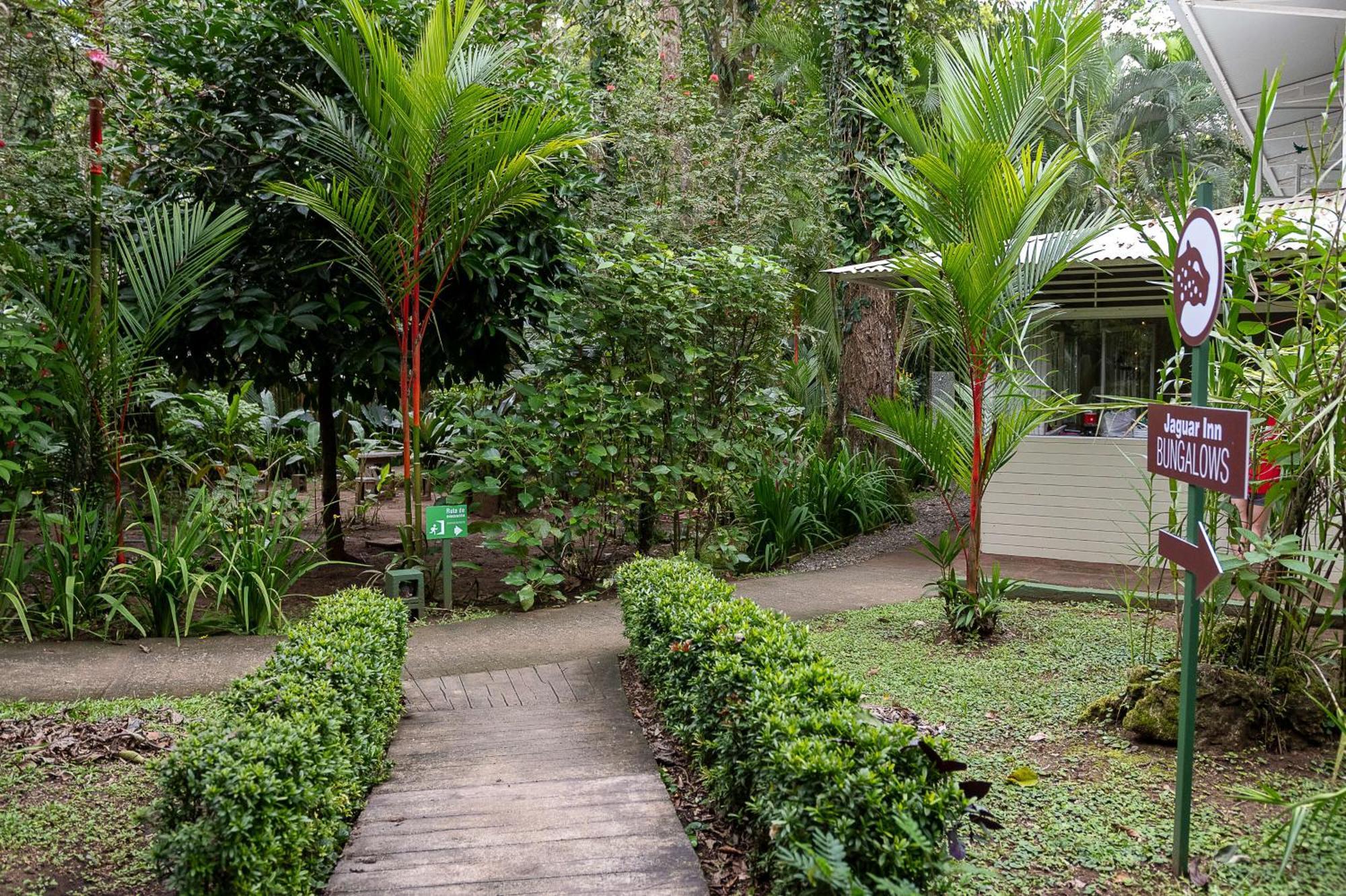 Jaguar Inn Bungalows Puerto Viejo de Talamanca Exterior photo